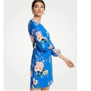 Ann Taylor Poppy Lantern Sleeve Shift Dress Size 4